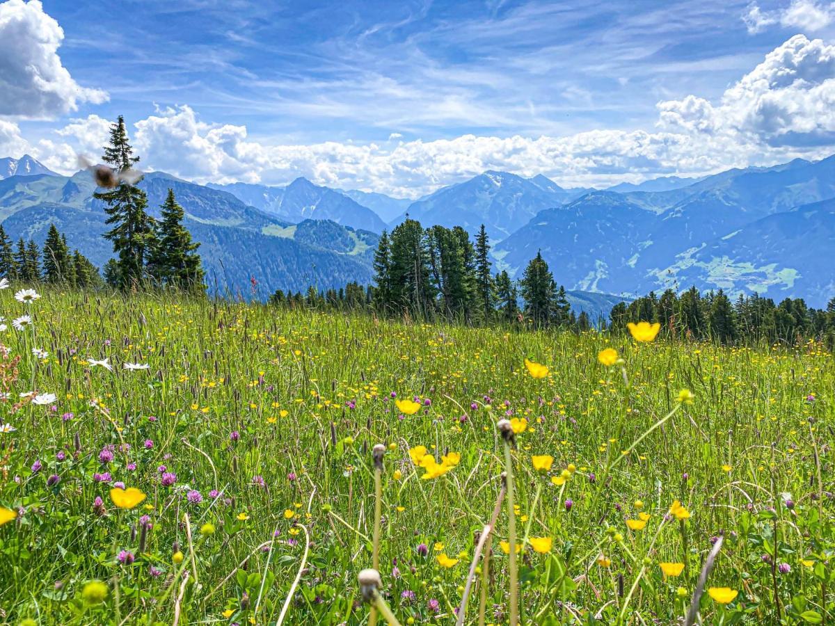 Appartement Franz Zell am Ziller Exteriör bild